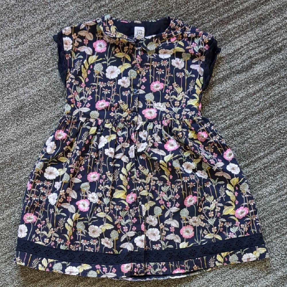 Baby Gap 5T Floral Dress